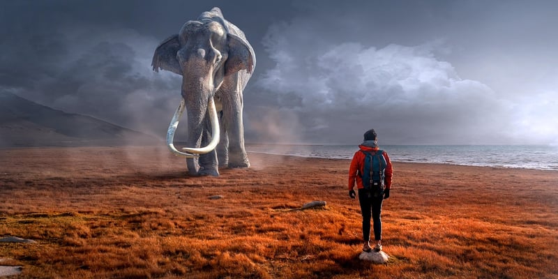 Future Civilization Encounter